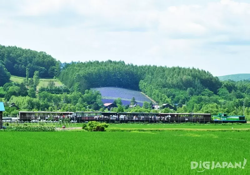 Furano Biei Norokko train