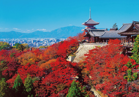 色で楽しむ日本の絶景 Vol 1 秋から冬に見られる絶景 Digjapan