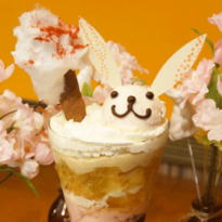 เมนูเฉพาะช่วงเทศกาลซากุระเท่านั้น! ร้านอาหารธีมกระต่ายสุดมุ้งมิ้ง
