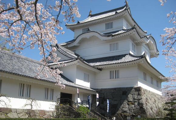 Otaki Castle and sakura