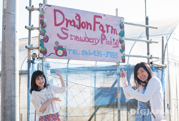 Sign at Dragon Farm