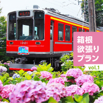 箱根欲張りプラン vol.1 あじさい、列車、温泉を楽しむ
