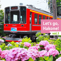 Let&#039;s go&#44; Hakone! vol.1 Hydrangea&#44; Trains&#44; and Onsen
