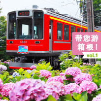 带您游箱根 vol.1 登山列车、温泉还有漂亮的紫阳花
