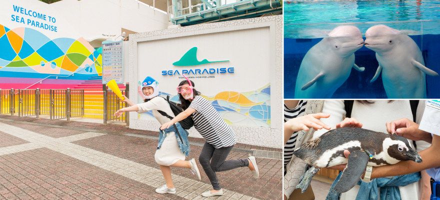日本最大級！橫濱八景島海島樂園！FUN假遊日本超好玩！
