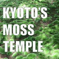 Saiho-ji: how to visit Kyoto&#039;s Moss Temple