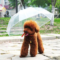 阴霾退散！10把创意雨伞，让你的下雨天与众不同