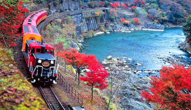 京都 嵯峨野トロッコ列車でひと味違った紅葉を楽しむ
