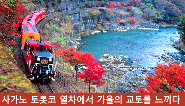 가을 교토 여행 추천 사가노 토롯코 열차를 타고 단풍 즐기기