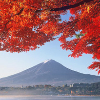 タイ人が好きなのはこの景色！富士河口湖で紅葉を満喫しよう