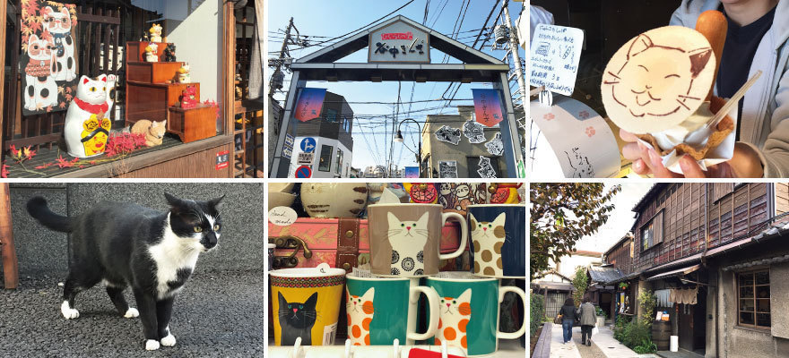 도쿄 고양이 마을 느긋하게 즐기는 야나카 산책