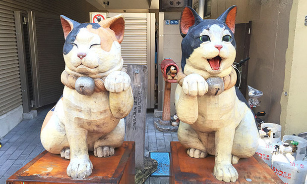 도쿄 고양이 마을 느긋하게 즐기는 야나카 산책