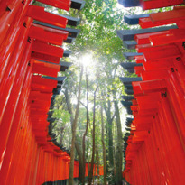 初詣で訪れたい！千本鳥居で有名な京都の伏見稲荷大社