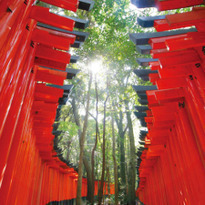 Let's Go! A Walk-Through Guide to the Fushimi Inari Shrine