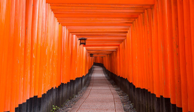 Let&#039;s Go! A Walk-Through Guide to the Fushimi Inari Shrine