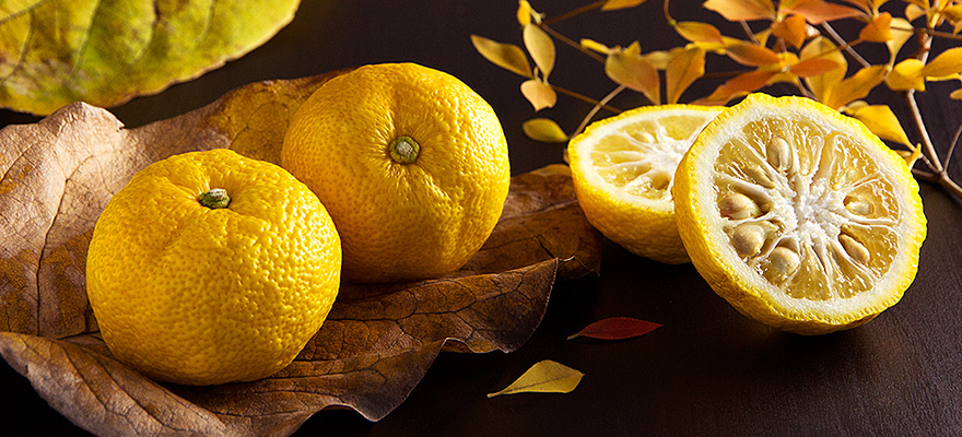 13 Ways You Can Enjoy Yuzu, Japan's Favourite Citrus Fruit