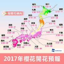 2017櫻花開花日期預測！日本最佳賞櫻時期、地點大公開！