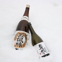豪雪下的日本美酒！新潟玉川酒造見学体験大公開！