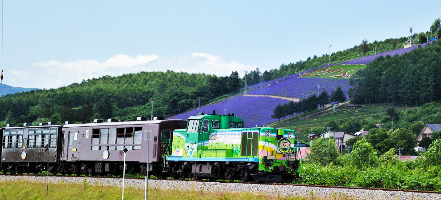 観光列車「富良野・美瑛ノロッコ号」で絶景を巡るモデルコース