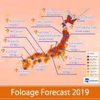 Best Times and Places to See Autumn Colors in Japan! Fall Foliage Forecast 2019