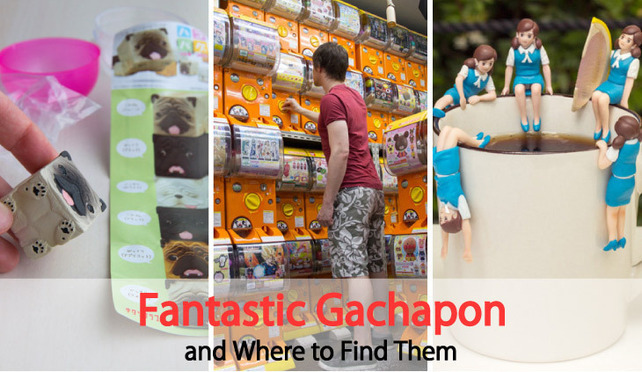Fantastic Gachapon and Where to Find Them: Discovering Japanese Capsule Toys