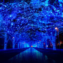 Must-Go for This Winter! 5 Illumination Spots in Tokyo 2017-2018