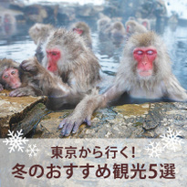 東京から行く！日本の冬に楽しめる観光スポット5選