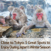 Close to Tokyo: 5 Great Spots to Enjoy During Japan&#039;s Winter Season