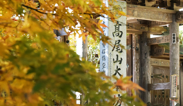 東京高尾山賞楓！米其林綠色指南三顆星紅葉景點！