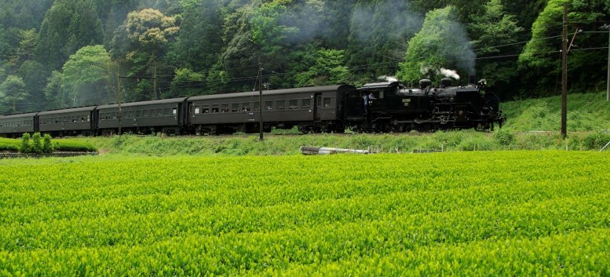 搭乘大井川铁道蒸汽火车，直指静冈奥大井绝景！