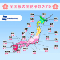 2018年 日本全国桜の開花予想！東京・京都は3月22日予定