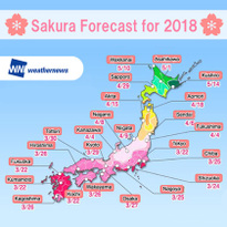 Best Times and Places to See Cherry Blossoms in Japan! Sakura Forecast for 2018