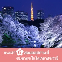 แนะนำ 6 สุดยอดสถานที่ชมซากุระในโตเกียวประจำปี!
