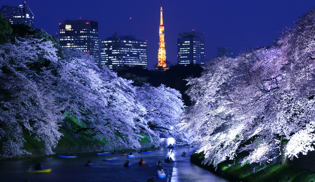 樱花季！东京最棒的赏樱胜地都在这里