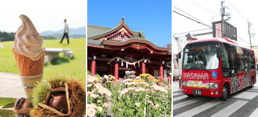 來去參加日本三大稻荷神社「笠間稻荷神社」的菊花盛典！栗子美食與日本酒也超推薦！