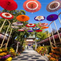 來去參加日本三大稻荷神社「笠間稻荷神社」的菊花盛典！