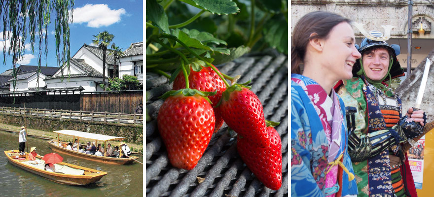 摘草莓！和服体验！一起来体验栃木县吧！