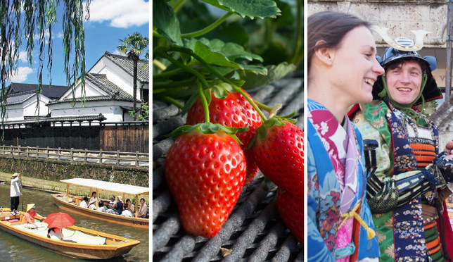 「採草莓」「和服體驗」一起來體驗栃木縣吧！