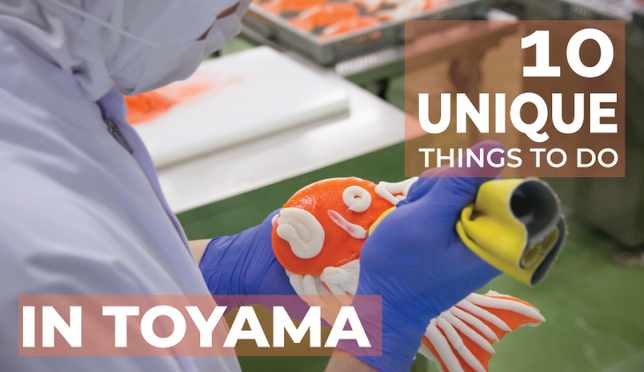 Cruising down the City of Medicine: 10 Unique Things to Do in Toyama City