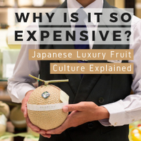 Japanese Luxury Fruit Culture Explained