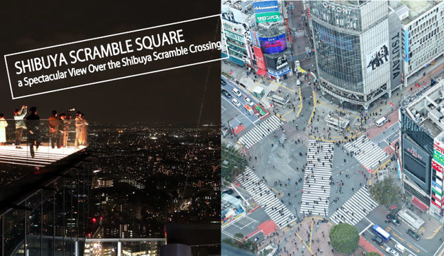 Shibuya Scramble Square: The New Shopping Hub With a Spectacular View Over the Shibuya Scramble Crossing