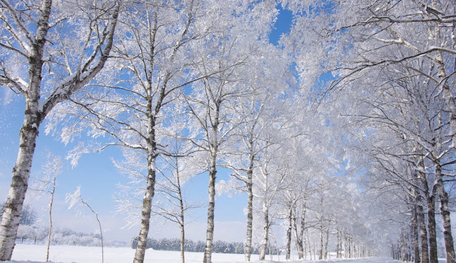 厳冬期にしか見られない幻想的な風景　北海道で出会える「雪と氷のアート」7選