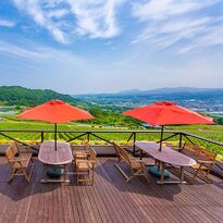 欣賞著漂亮的葡萄園景色，乾杯！北海道「NIKI Hills葡萄酒廠」