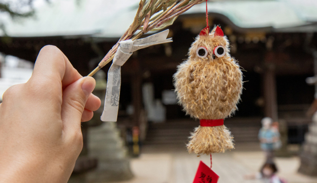 Zoshigaya: Follow the Owls to Another Hidden Gem in Tokyo