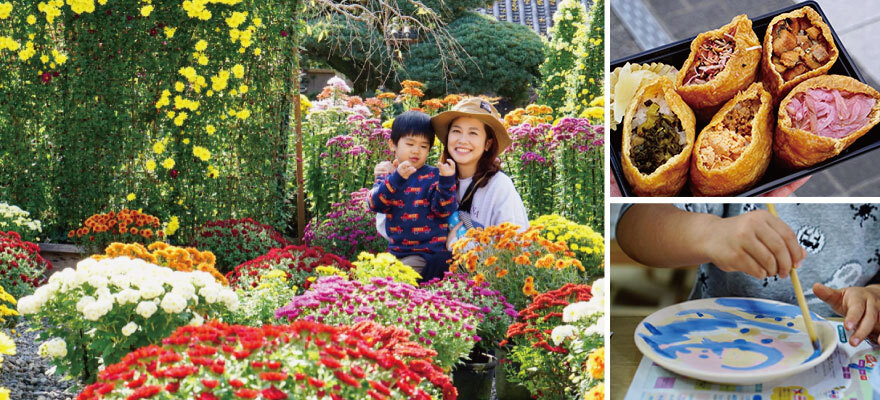 Family Trip to Kasama! Glamping, Local Food, and a Gorgeous Chrysanthemum Festival