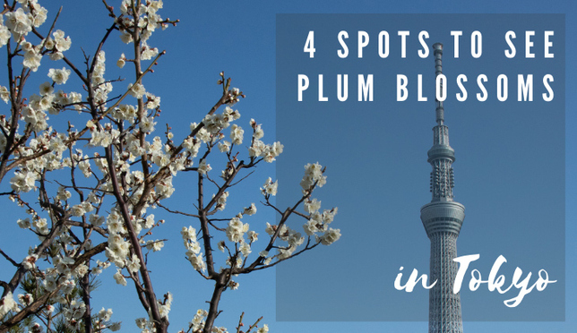 Early Spring Beauties! 4 Spots to See Plum Blossoms in Tokyo (and 3 Plum Snacks to Go With Them)