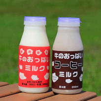 來酪農王國北海道動手做好吃的牛乳和起司吧！釧路・根室必吃乳製品4選