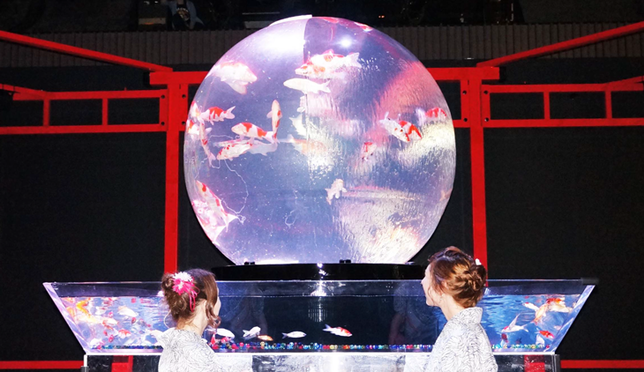 仿地球的正圓形水族箱上有世界地圖的浮雕，金魚在球體內漫遊。