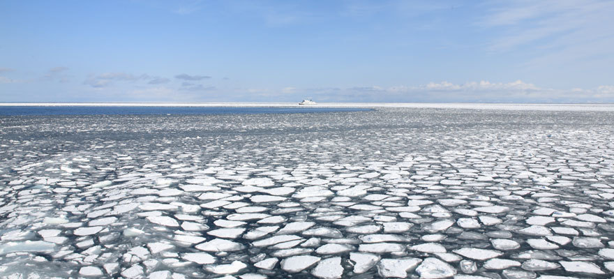北海道流冰