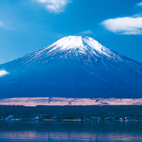 新宿出发！搭巴士游富士山！
